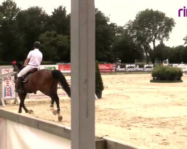 Reitturnier Münster-Handorf 2020