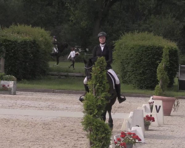 Reitturnier Münster-Handorf 2020