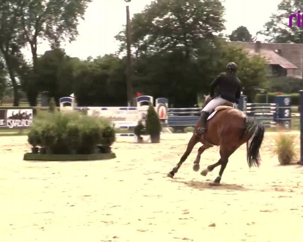Reitturnier Münster-Handorf 2020