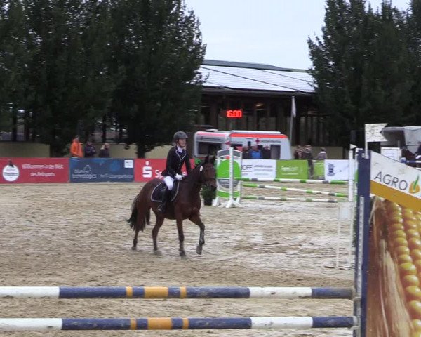 Reitturnier Everswinkel 2021