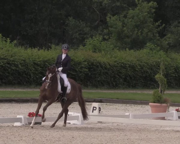 Reitturnier Münster-Handorf 2020