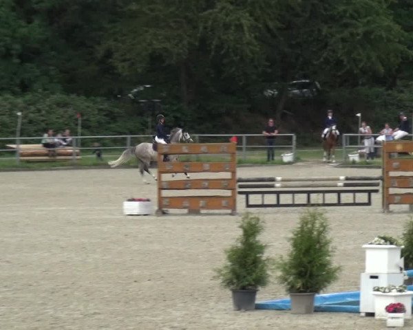 Reitturnier Langenfeld - Gut Langfort 2020