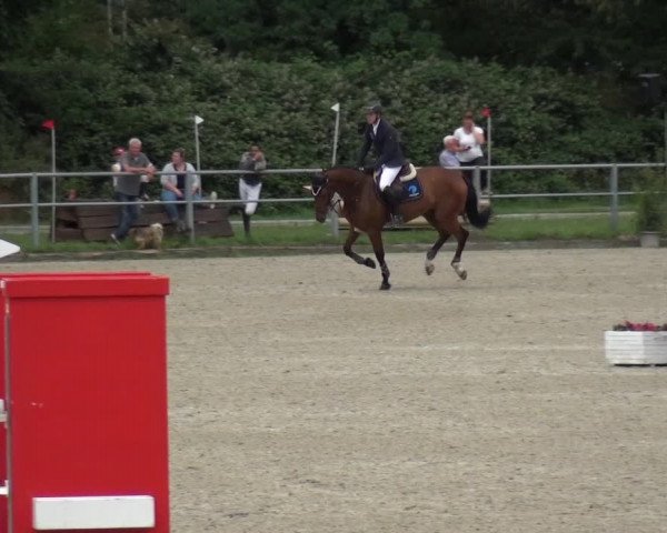 Reitturnier Langenfeld - Gut Langfort 2020