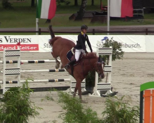 Reitturnier CSI** Westergellersen 2020