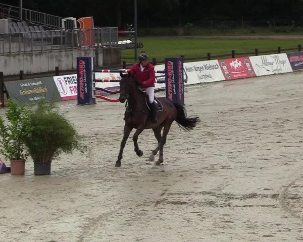 Reitturnier CSI** Westergellersen 2020