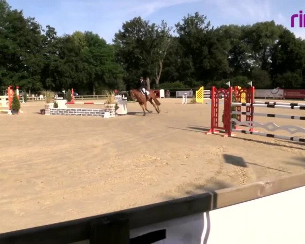 Reitturnier Münster-Handorf 2020