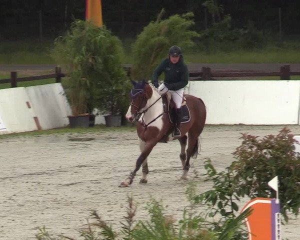 Reitturnier CSI** Westergellersen 2020
