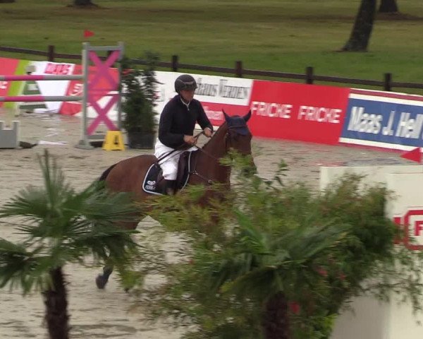 Reitturnier CSI** Westergellersen 2020