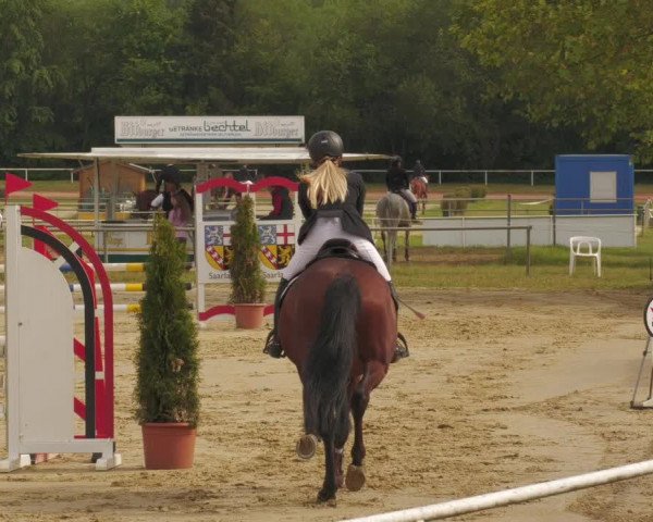 Reitturnier Heiligenwald 2020