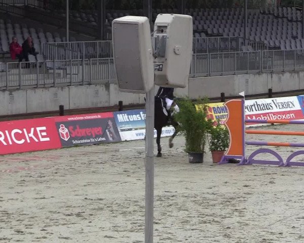 Reitturnier CSI** Westergellersen 2020