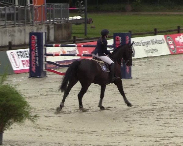 Reitturnier CSI** Westergellersen 2020