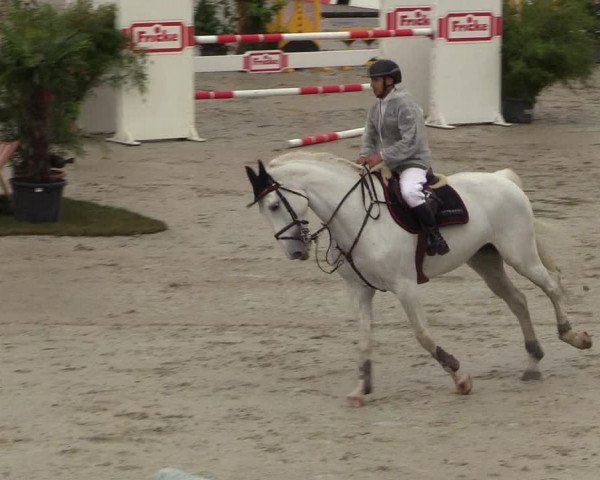 Reitturnier CSI** Westergellersen 2020