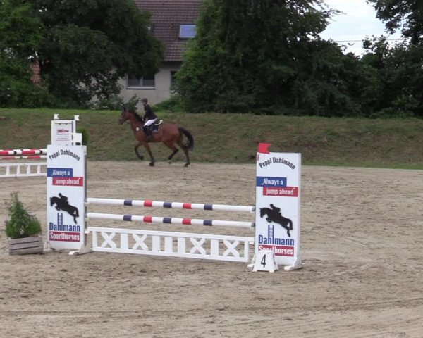 Reitturnier Fröndenberg 2020
