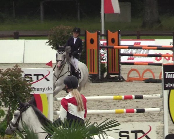 Reitturnier CSI** Westergellersen 2020