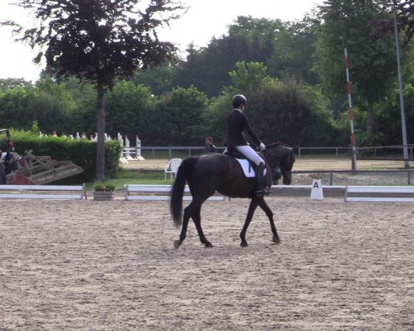 Reitturnier Fröndenberg 2020