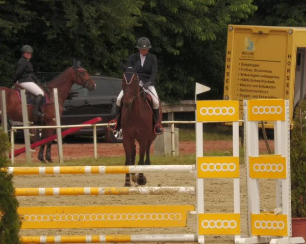 Reitturnier Heiligenwald 2020