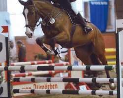 Springpferd Larestan 2 (Deutsches Sportpferd, 2003, von Lagaro)