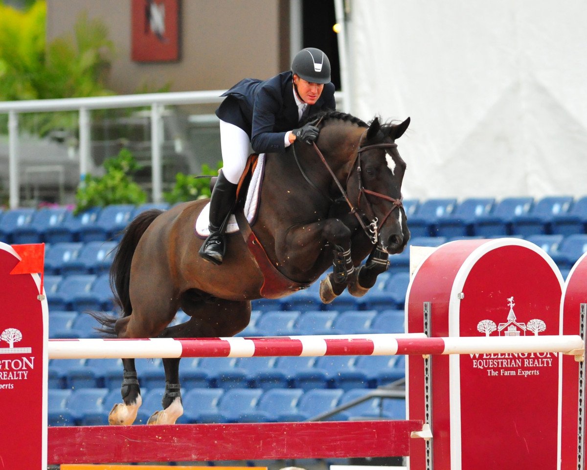 stallion Super Trooper de Ness (Belgium Sporthorse, 2002, from Vigo d'Arsouilles)