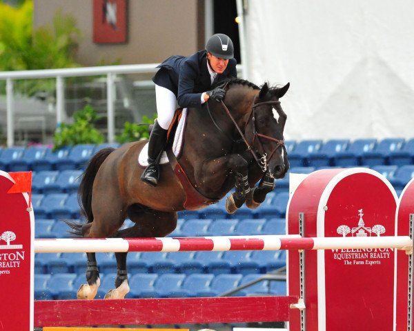 stallion Super Trooper de Ness (Belgium Sporthorse, 2002, from Vigo d'Arsouilles)