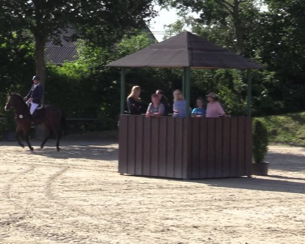 Reitturnier Fröndenberg 2020