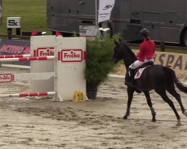 Reitturnier CSI** Westergellersen 2020