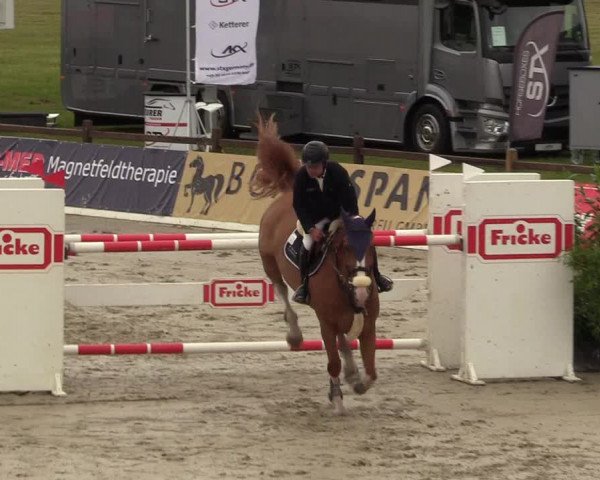 Reitturnier CSI** Westergellersen 2020