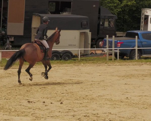 Reitturnier Heiligenwald 2020