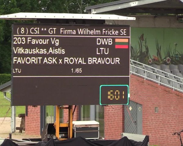 Reitturnier CSI** Westergellersen 2020