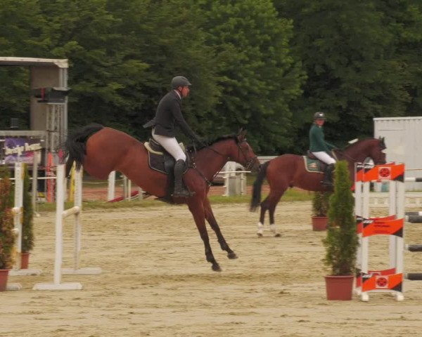 Reitturnier Heiligenwald 2020