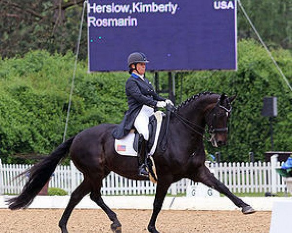 broodmare Rosmarin (Hanoverian, 2005, from Rondo)