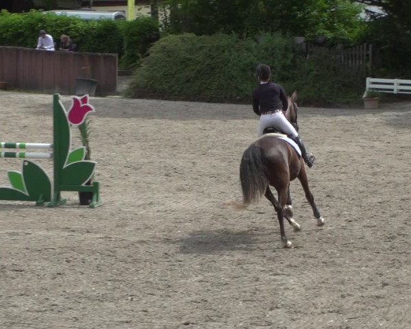 Reitturnier Bonn-Rodderberg 2020