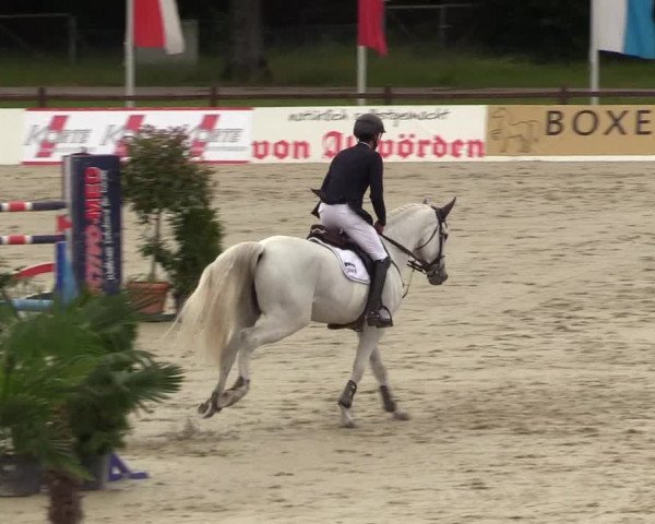 Reitturnier CSI** Westergellersen 2020