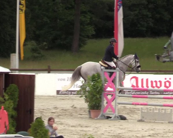 Reitturnier CSI** Westergellersen 2020