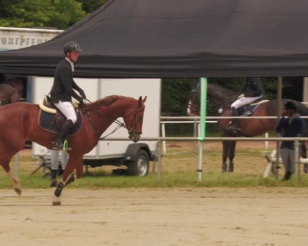 Reitturnier Heiligenwald 2020