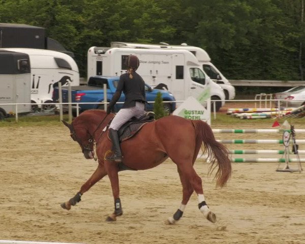 Reitturnier Heiligenwald 2020