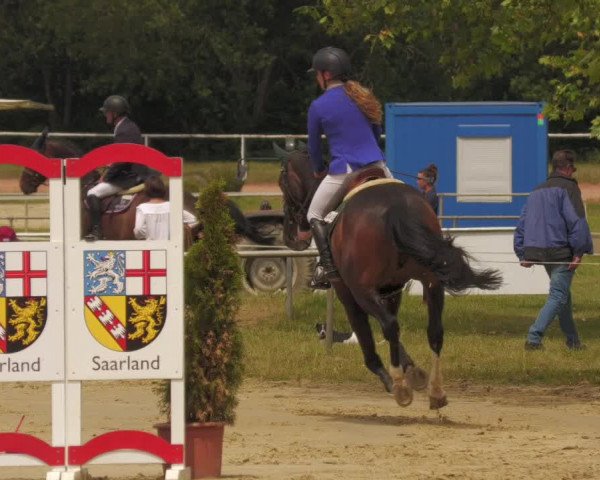 Reitturnier Heiligenwald 2020