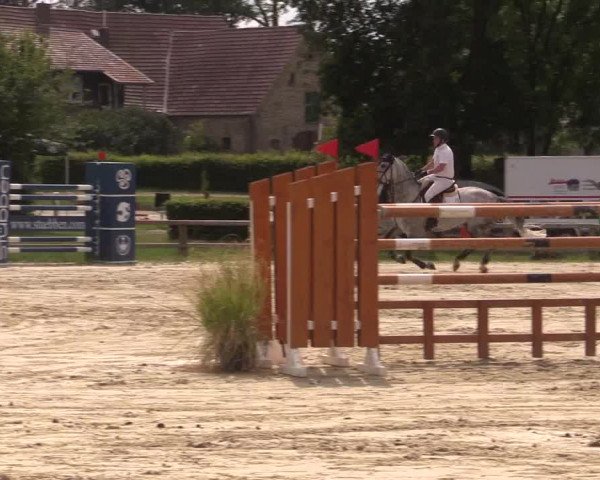 Reitturnier Münster-Handorf 2020