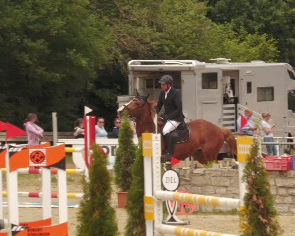 Reitturnier Heiligenwald 2020