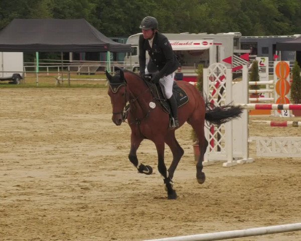 Reitturnier Heiligenwald 2020
