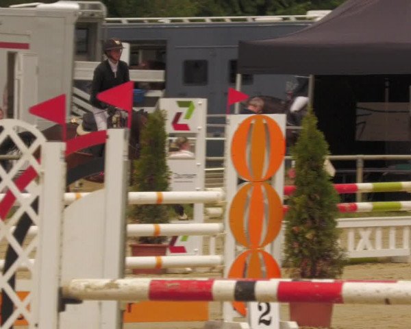 Reitturnier Heiligenwald 2020