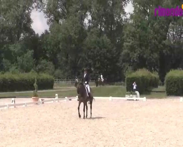 Reitturnier Münster-Handorf 2020