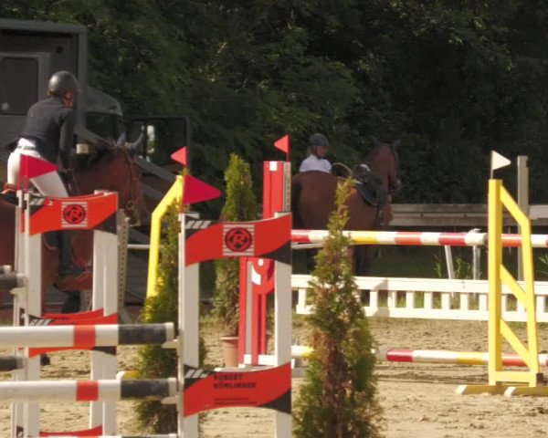 Reitturnier Heiligenwald 2020