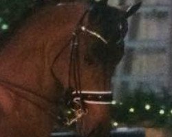 dressage horse Walküre (Oldenburg, 2005, from Blue Hors Romanov)