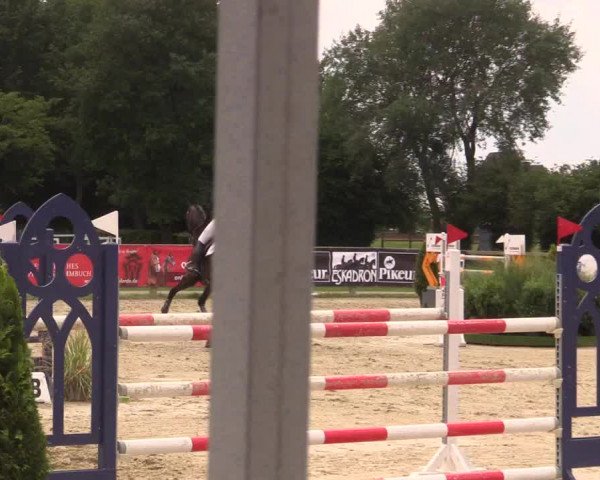 Reitturnier Münster-Handorf 2020