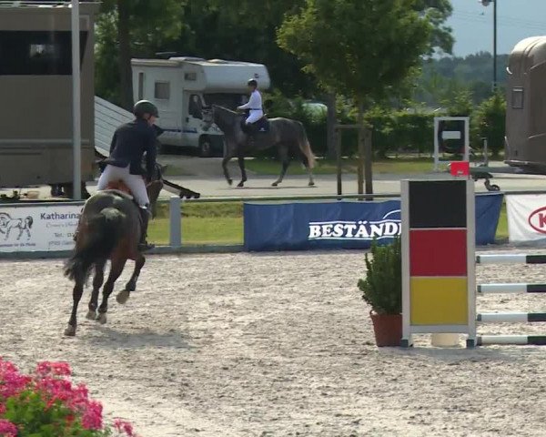 Reitturnier Grafenrheinfeld/Ufr. 2020