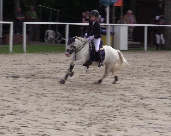 Reitturnier Fröndenberg 2020