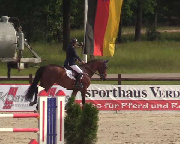 Reitturnier CSI** Westergellersen 2020