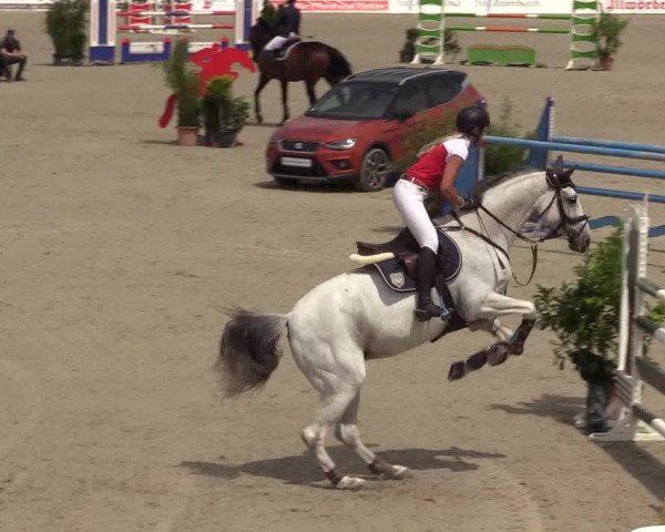 Reitturnier CSI** Westergellersen 2020