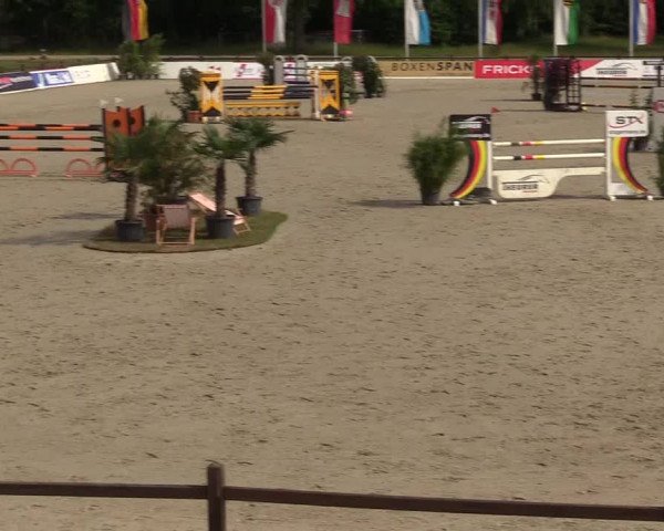 Reitturnier CSI** Westergellersen 2020
