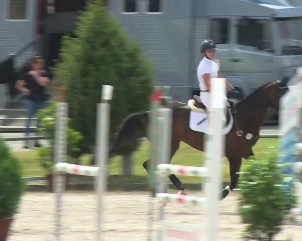 Reitturnier Grafenrheinfeld/Ufr. 2020